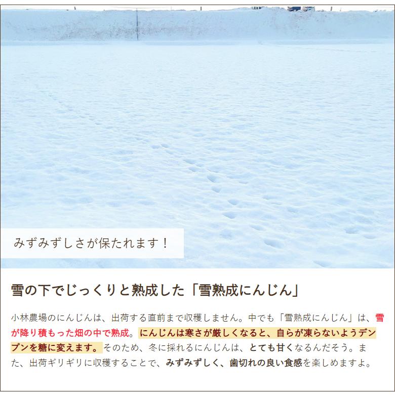 新潟県産 冬にんじん 4kg 小林農場 送料無料