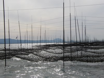 DY011_佐賀県産　全形有明海苔　たっぷり100枚