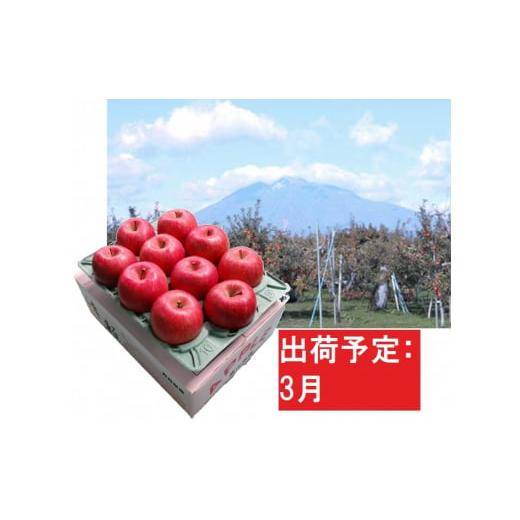 ふるさと納税 青森県 平川市 3月  サンふじりんご「特A」約3kg 糖度13度以上 