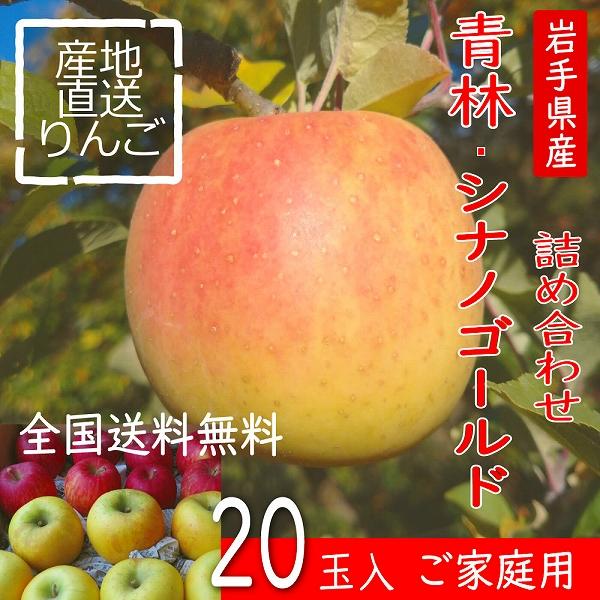 りんご 青林 シナノゴールド　20玉　詰め合わせ 送料無料 訳あり ご自宅用 岩手県産 産地直送