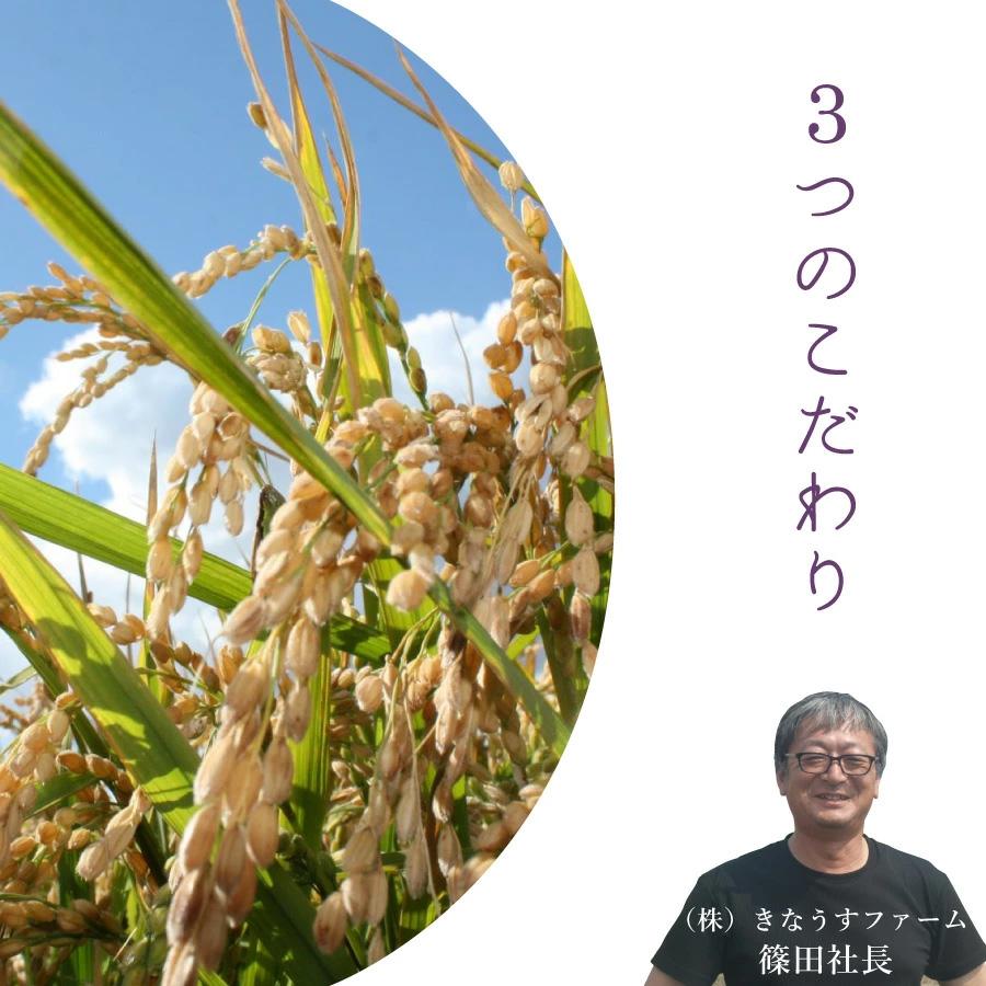 新米 特別栽培米 ゆきひかり 白米 4kg 減農薬 農家直送 令和5年産 北海道産米 送料無料 12 10はクーポンで5％OFF