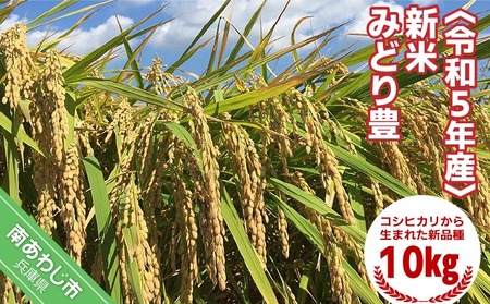 令和５年産・新米『みどり豊』10kg