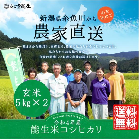 新米 令和5年産 米 お米 10kg 5kg×2 コシヒカリ 玄米 新潟  農家直送 糸魚川 能生米 送料無料