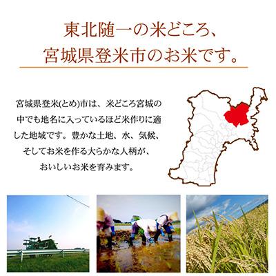 ふるさと納税 登米市 2024年1月発送開始『定期便』宮城県登米市産ササニシキ(玄米)30kg　全12回