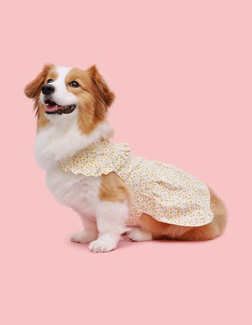 華燦 Among 胸背衣