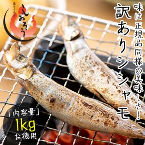 ししゃも シシャモ 子持ち 訳あり メス 1kg 贈り物 ギフト グルメ プレゼント グルメ お歳暮 グルメ 冬グルメ 冬ギフト