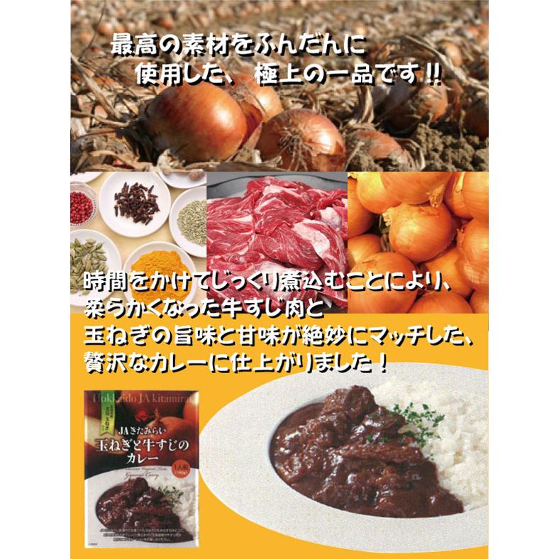 玉ねぎと牛すじのカレー　20個　（180g×20個）　レトルトパック　JAきたみらい