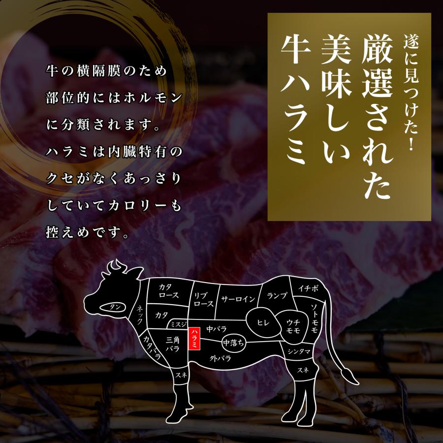 牛ハラミ 焼肉 バーベキュー BBQ 牛肉 ステーキ 厚切り ホルモン 柔らかい 個包装  100ｇ×5