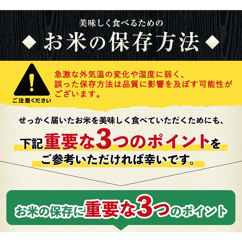 令和4年産 ひのひかり 10kg (5kg ×2袋)  米10kg 米 10kg お米 送料無料 熊本県産  精米 白米《1-5営業日以内に発送予定(土日祝日除く)》