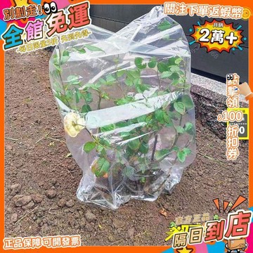 免運 盆栽植物樹苗防凍套袋透明防寒罩保護罩嫁接套樹苗塑料袋保暖袋子YL
