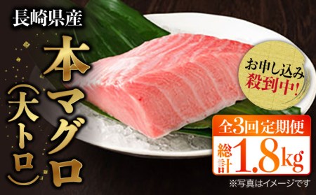 長崎県産 本マグロ 大トロ(皮付き) 約600g    まぐろ マグロ 大トロ 鮪 まぐろ マグロ さしみ 刺身 刺し身 マグロ まぐろ 大トロ セット 冷凍 まぐろ マグロ 大トロ 定期便 [BAK028]