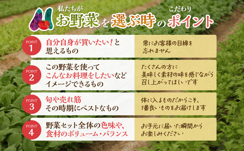 とれたて 野菜パック  季節の野菜 セット 詰め合わせ 10品前後 野菜セット 野菜詰め合わせ 野菜 ジャガイモ 人参 大根 小松菜 白ネギ グリ−ンリ−フ チンゲン菜 椎茸 トマト 水菜 葉ネギ 人気 厳選