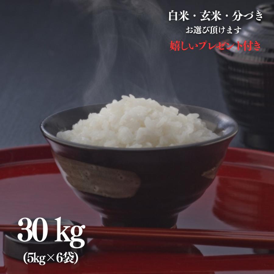 新米 令和5年産 お米 30kg 滋賀県 コシヒカリ 玄米 5kg×6袋 精米無料 白米 5分付き 7分づき 熨斗無料 グルメ 大容量 嬉しいプレゼント付き 送料無料