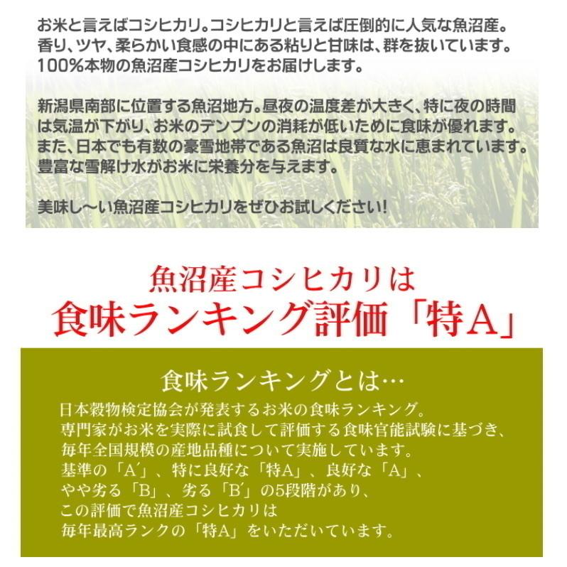 米 30kg (10kg×3袋) 魚沼産コシヒカリ 無洗米   最高級銘柄米 お米 新潟 魚沼産 令和5年産 新米   人気 おいしい 新潟米 こしひかり 送料無料