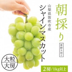 山梨県産シャインマスカット2房(1kg以上)