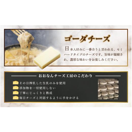 ふるさと納税 島根県 邑南町 ゴーダチーズ三昧　（50g×5個）