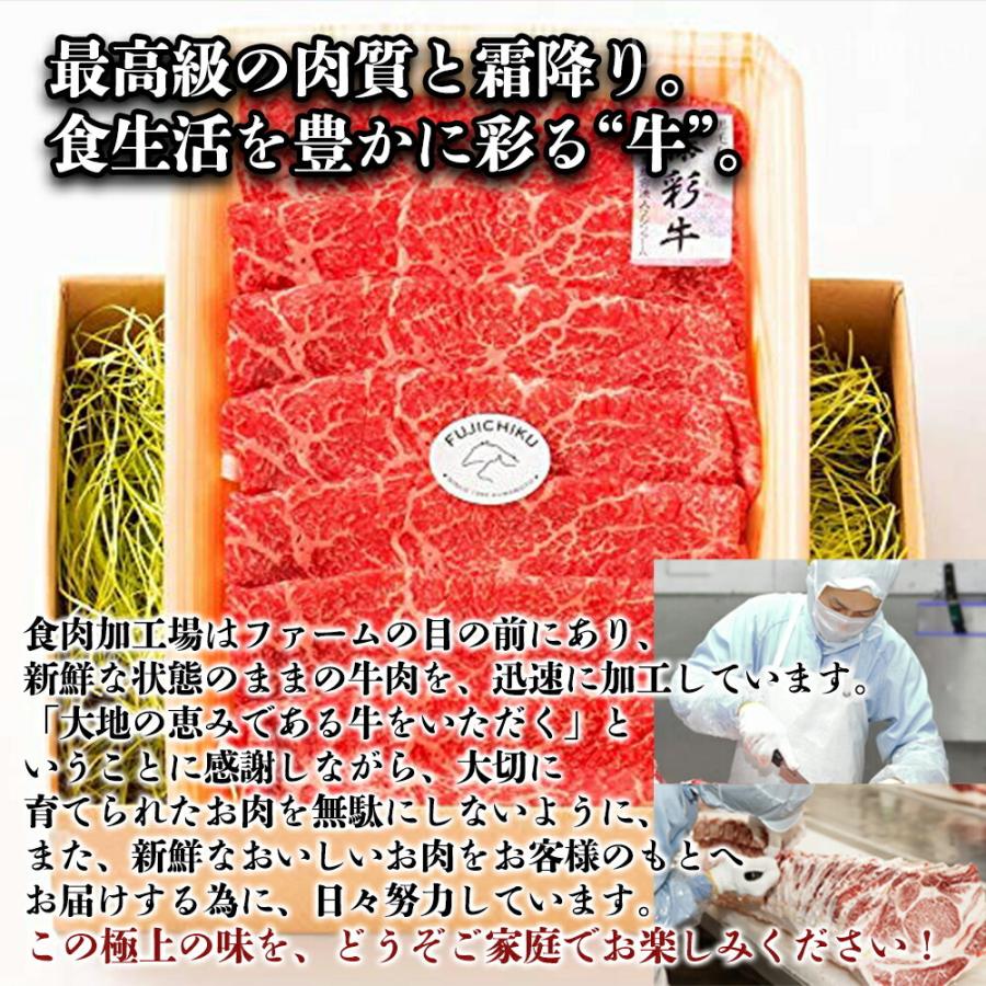 九州産黒毛和牛 藤彩牛 A4〜A5 モモ すき焼き しゃぶしゃぶ用 500g×1P 3〜4人前 フジチク