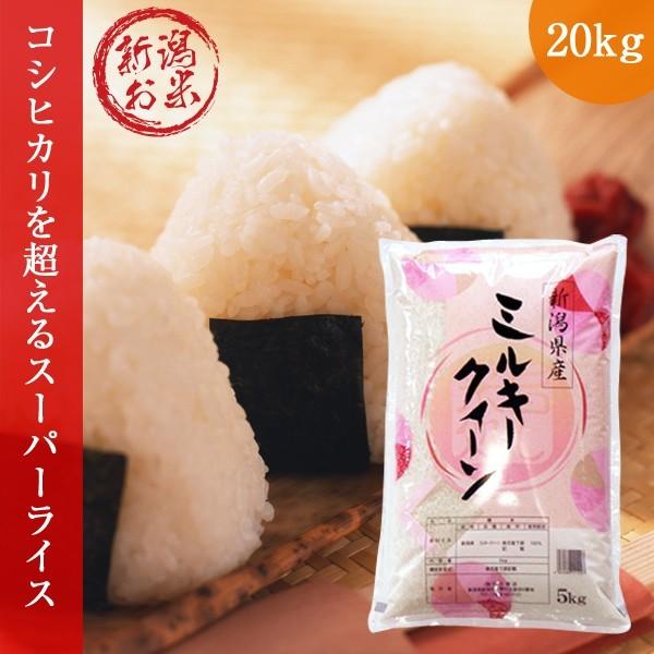 新潟県産ミルキークイーン 20kg (5kg×4袋  美味しいお米 令和5年産 お米 白米