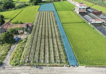 美濃中圳段都內農地擁有自己的開心農場｜高雄市美濃區中圳段