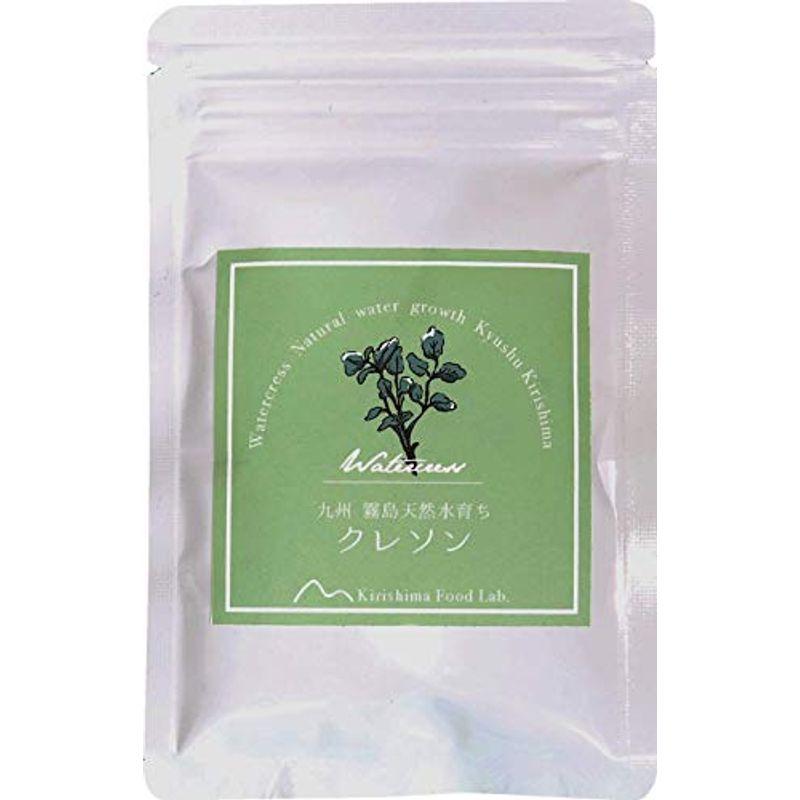 国産竹炭パウダー   20g