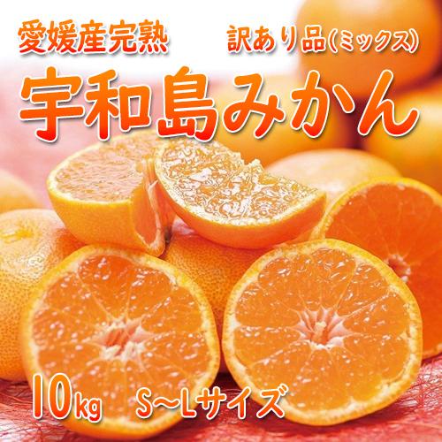 愛媛の完熟・宇和島みかん愛媛県産　S〜Lサイズ、合計約10kgお歳暮・ギフト・送料無料