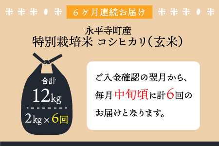  令和5年度産 永平寺町産 農薬不使用・化学肥料不使用 特別栽培米 コシヒカリ 2kg×6ヶ月（計12kg）[E-033056]