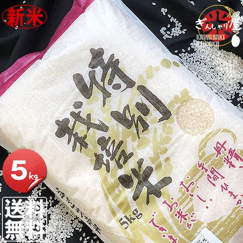 新米 米 5kg お米 ゆめぴりか 北海道産 特別栽培米 白米 令和5年産 送料無料