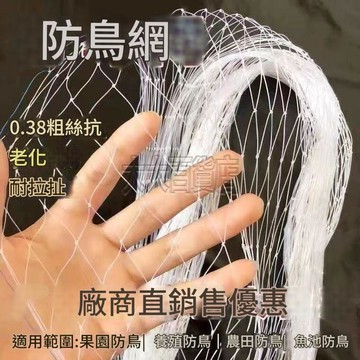 果樹防鳥用網 葡萄 櫻桃大棚專用 防鳥網 防鳥罩 魚塘養殖天網 尼龍網