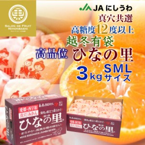 [予約 2024年2月1日-2月15日の納品] 真穴みかん ひなの里 超冬有袋みかん 約 3kg 化粧箱 ブランド 愛媛県西宇和産 完熟みかん ミカン 袋