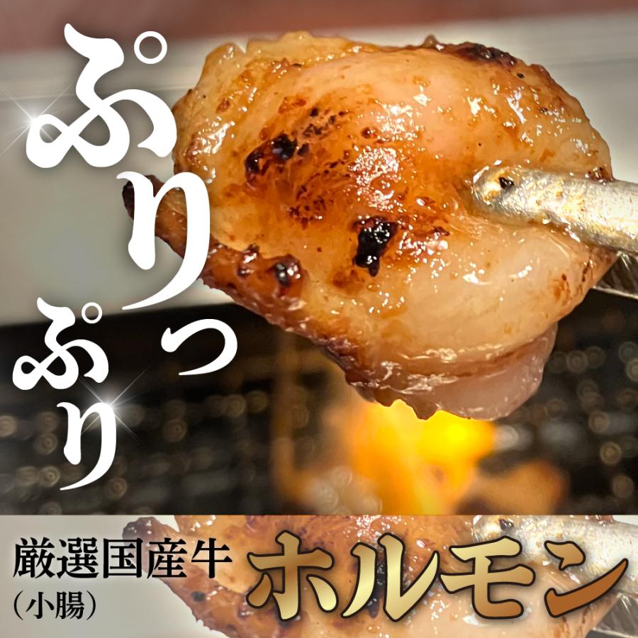 御歳暮 ギフト  ホルモン 小腸 もつ 国産牛ぷりぷりホルモン タレ漬け 600g バーベキュー BBQ 焼肉 もつ焼き ホルモン焼き