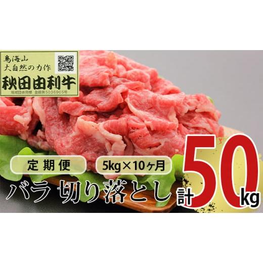 ふるさと納税 秋田県 にかほ市 《定期便》10ヶ月連続 秋田由利牛 バラ切り落とし 5kg（1kg×5パック）