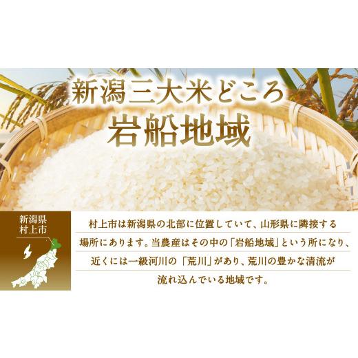 ふるさと納税 新潟県 村上市 D4036 特別栽培米  新潟県岩船産 コシヒカリ 30kg（5kg×6ヶ月コース） 定期便  毎月 お米  白米 こしひかり 精米…