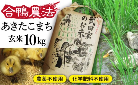 《令和５年度産》武田家のお米 あきたこまち（玄米）10kg＜合鴨農法＞   米 ５キロ ２袋 アイガモ