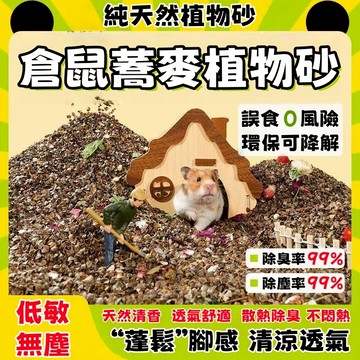 台灣出貨🐾 蕎麥砂 倉鼠蕎麥沙 倉鼠蕎麥砂 蕎麥沙 倉鼠墊料 倉鼠墊材 倉鼠底材 倉鼠 倉鼠用品 除臭墊料 無塵 造景