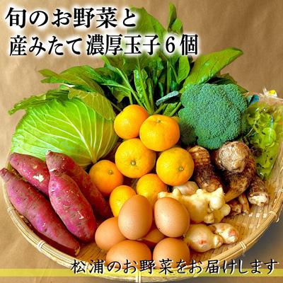 ふるさと納税 松浦市 道の駅松浦海のふるさと館「旬のお野菜 産みたて濃厚玉子6個」の大満足セット!