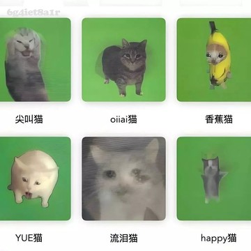 🔥【台灣出貨】貓meme-oiiai 搞笑貓咪 貓 360度旋轉搞笑錶情包 光柵卡尖叫香蕉貓六款抽象小貓光柵卡解壓小卡