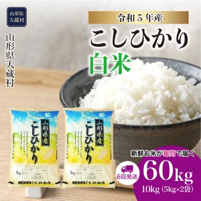 ふるさと納税 大蔵村 令和5年産 コシヒカリ60kg(10kg×6回)