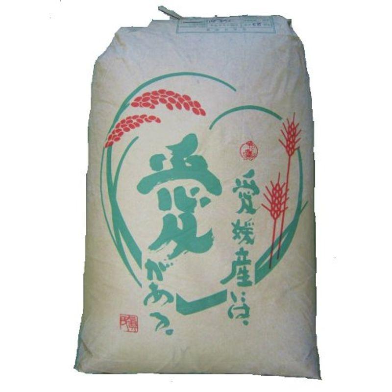 愛媛県産 ヒノヒカリ 25kg （精米済）