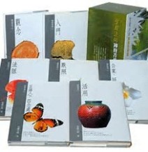 禪修精華[二手書_良好]