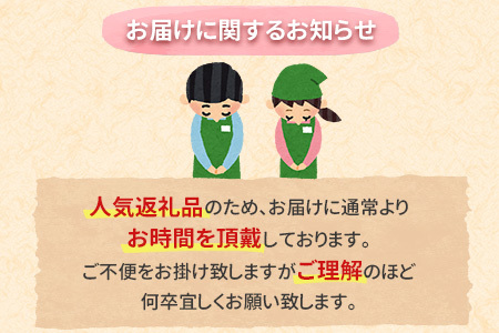 ［玄人の一品］うなぎ白焼き 2尾×3ヶ月定期便（150～200g程度 1尾あたり) 宮崎県産鰻 蒲焼タレ付