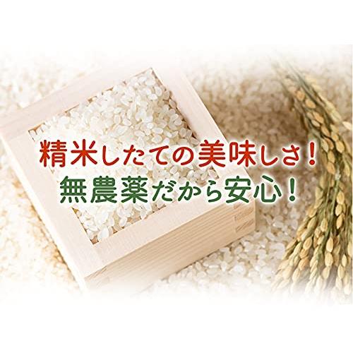 5分づき 無農薬 つや姫 2kg 令和4年福宮城産 特別栽培米 無農薬 無化学肥料栽培