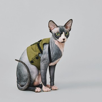 Yama Paws / 貓狗可穿山系上衣 - 綠色