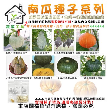 南瓜系列種子-各包裝數量詳見內文及圖片說明-貝貝南瓜 銀栗南瓜