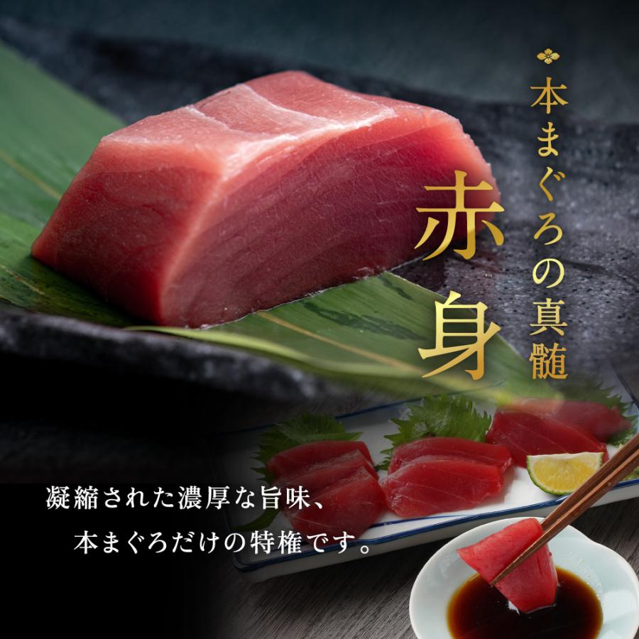 マグロ 本まぐろ 生まぐろ 国産生本マグロ 刺し身 冷蔵 大トロ 中トロ 赤身の食べ比べセット250グラム お取り寄せ お歳暮 プレゼント  年末年始 送料無料