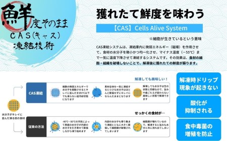 寒シマメ（スルメイカ）肝醤油漬け 80g×5個 全国ご当地どんぶりTOP10 お歳暮にも