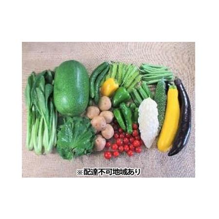 ふるさと納税 旬の野菜セット 広島県安芸高田市