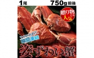 特大ボイルズワイ蟹姿　750ｇ ※着日指定不可