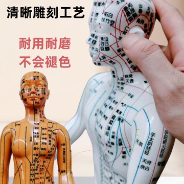 【便宜有好貨】人體穴位圖男女高清刻字中醫家用模具中醫針灸穴位人經絡小皮人