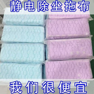 🛒臺灣24h🌳一次性家用靜電除塵幹巾懶人平板拖把加厚加大絨布免洗吸毛髮浮灰