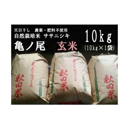 ふるさと納税 秋田県 秋田市 〈先行予約 令和五年産〉天日干し　農薬・肥料不使用　自然栽培米「ササニシキ」か「亀ノ尾」玄米10kg